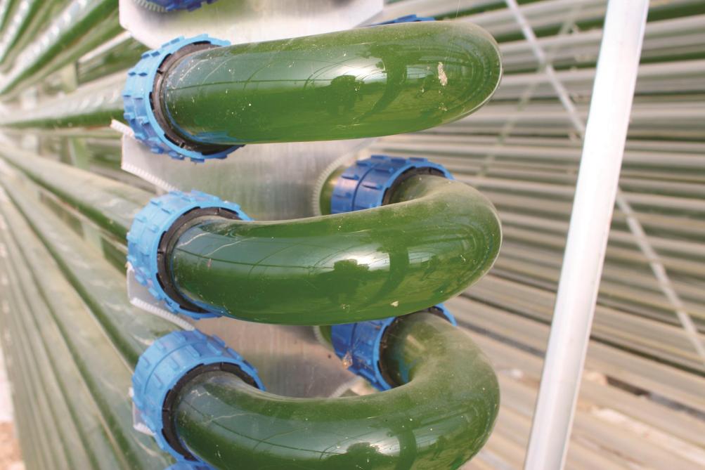 5.000 m de tubes en verre transparents dans lesquels circulent 20.000 l d’eau constituent le milieu de culture des microalgues.