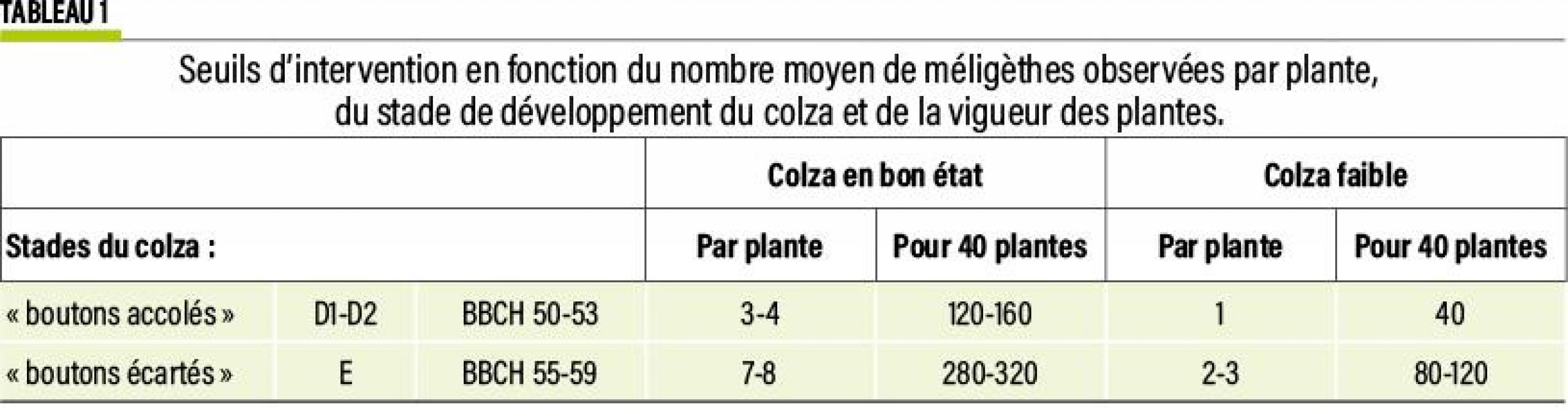 13-colza-01-web