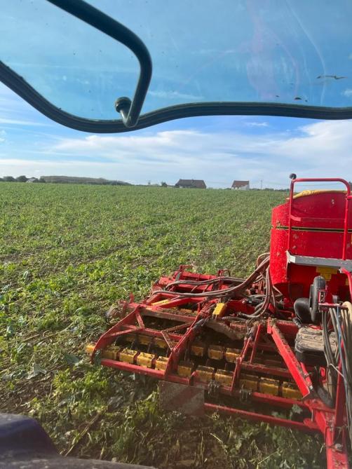 Luc Hayois s’efforce de ne plus labourer, jusqu’à pratiquer le semis direct, et collabore avec des éleveurs ovins locaux pour faire pâturer ses couverts.