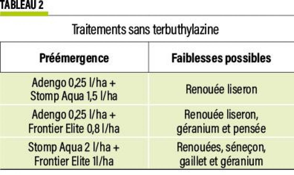16-MAÏS-sans-terbu-02-web