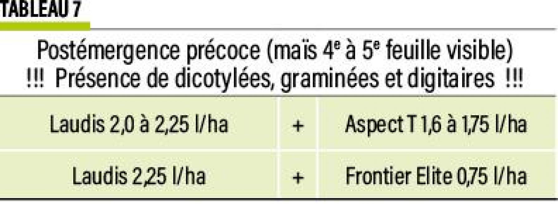 16-MAIS-gram-digitaires-07-web