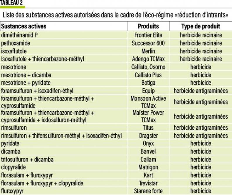 16-MAIS-ER-RI-possible-02-web