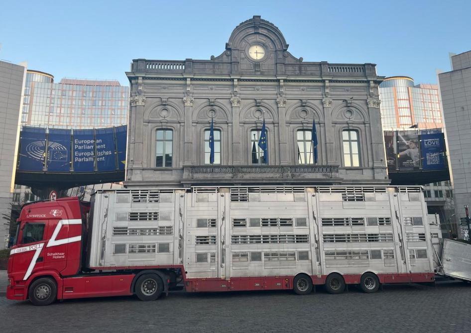 À l’initiative de Benoît Cassart, plusieurs acteurs du secteur du transport animal sont venus faire entendre leur voix,  le 5 mars dernier, devant le parlement européen.
