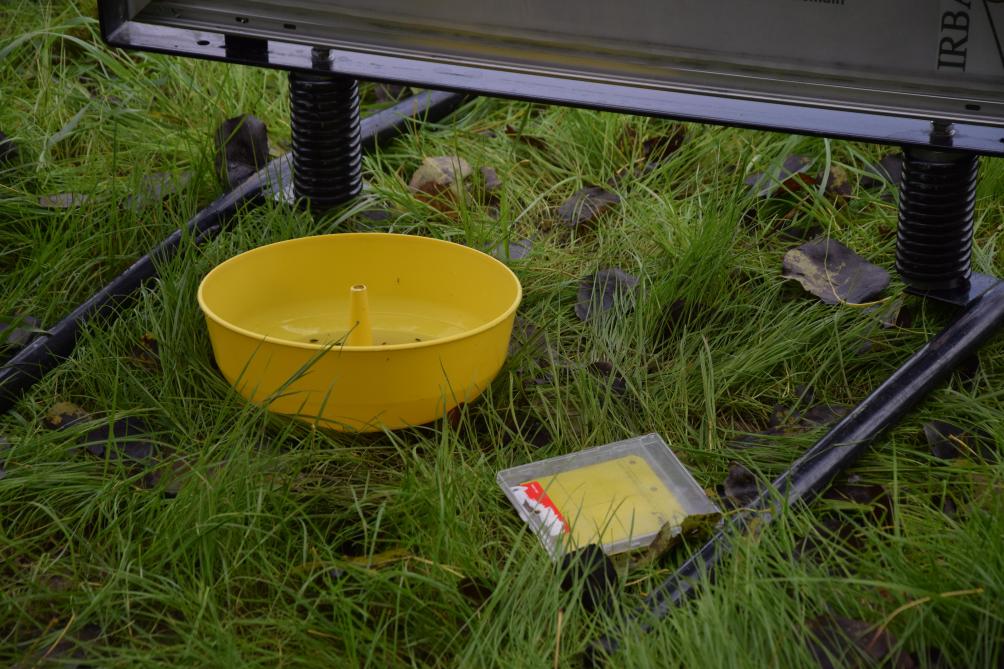 Afin de vérifier si ce qui circule dans la parcelle est bien présent sur les plantes,  des dispositifs de suivi tels que les bassins jaunes ou des plaques collantes ont été utilisés.