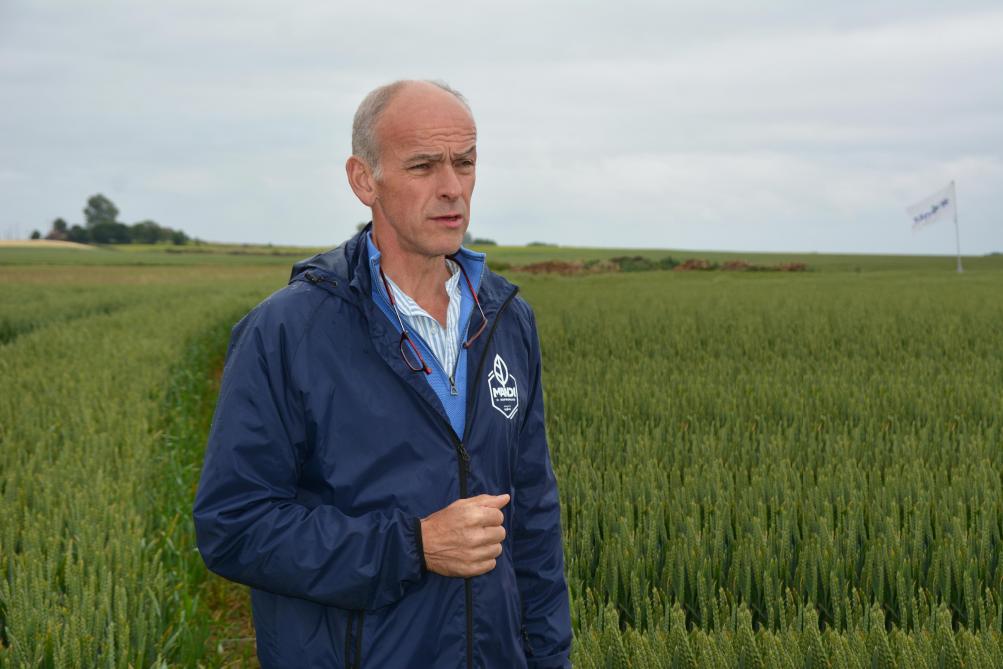 « La bactérie présente dans la solution permet  à la plante de capter l’azote atmosphérique et du  sol et d’en tirer parti », détaille Christian Walravens,  au sujet des produits à base d’Azotobacter salinestris.