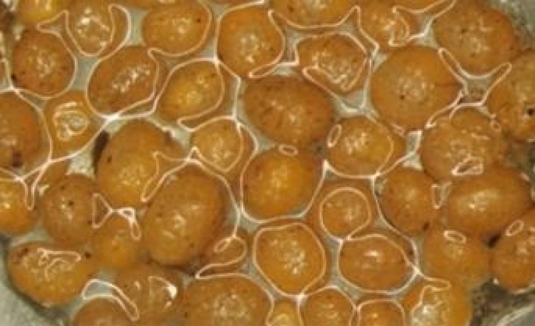 Des prélèvements de sol ont été effectués pour observer la cécidomiye orange au stade cocon.