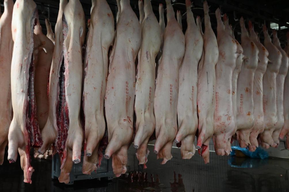Un impact sur les animaux mais pas sur la viande.