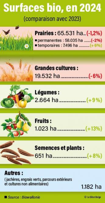 20-infograph-bio-01-web (2)