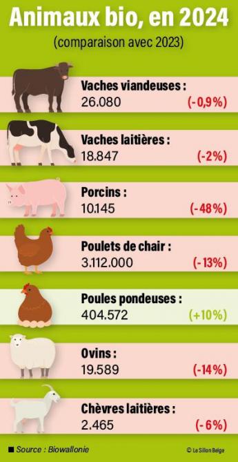 20-infograph-bio-02-web