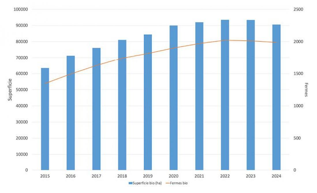 Figure 1: évolution de la superficie et du nombre de fermes bio en Wallonie. (source: Biowallonie)