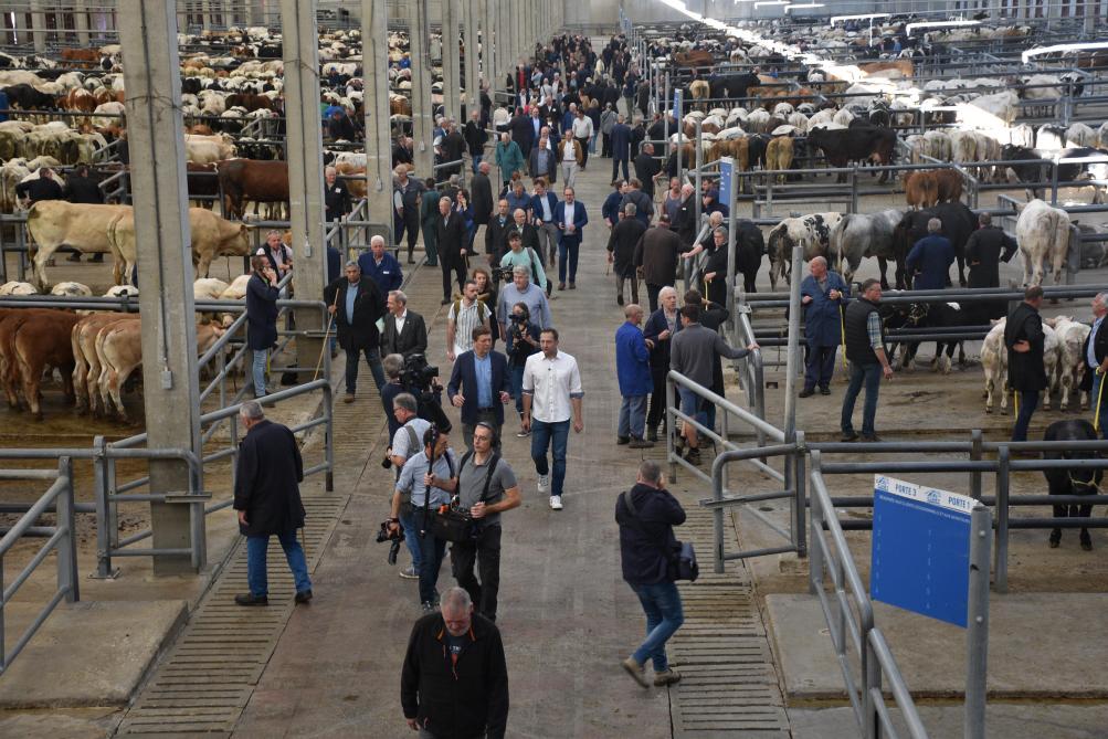 Déambulation dans les travées du marché durant laquelle les responsables politiques  ont évoqué le danger du cheptel bovin qui régresse partout en Europe.