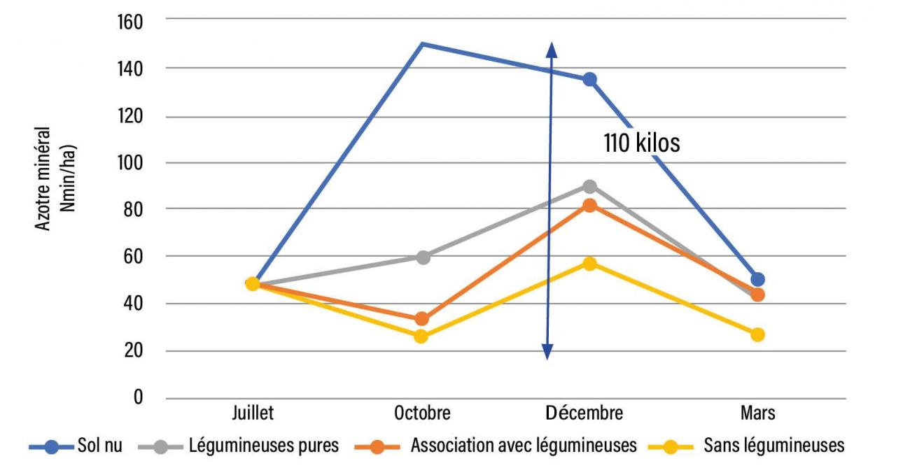 Figure 1 : Évolution du reliquat d’azote minéral en fonction du type d’interculture implantée en juillet après récolte de pois et détruit en octobre avant le semis d’un froment d’hiver (moyennes mesurées de 2012 à 2016), UCLouvain – Greenotec.