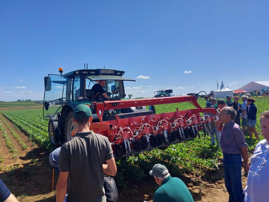 Par mémorisation de plus de 1.500 photos de diverses variétés de betteraves à différents stades, l’IC Weeder est capable de distinguer les betteraves des mauvaises herbes, indépendamment du stade.