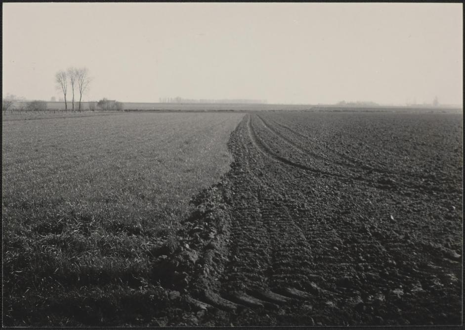 25_009_006