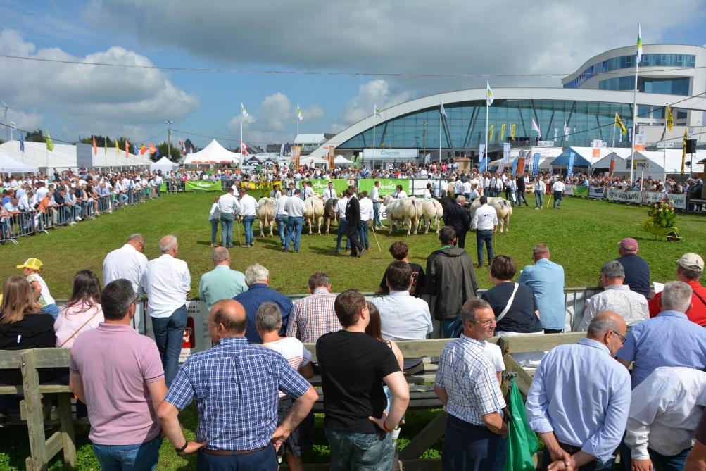 La foule était présente en masse pour assister au concours Blanc Bleu Belge !