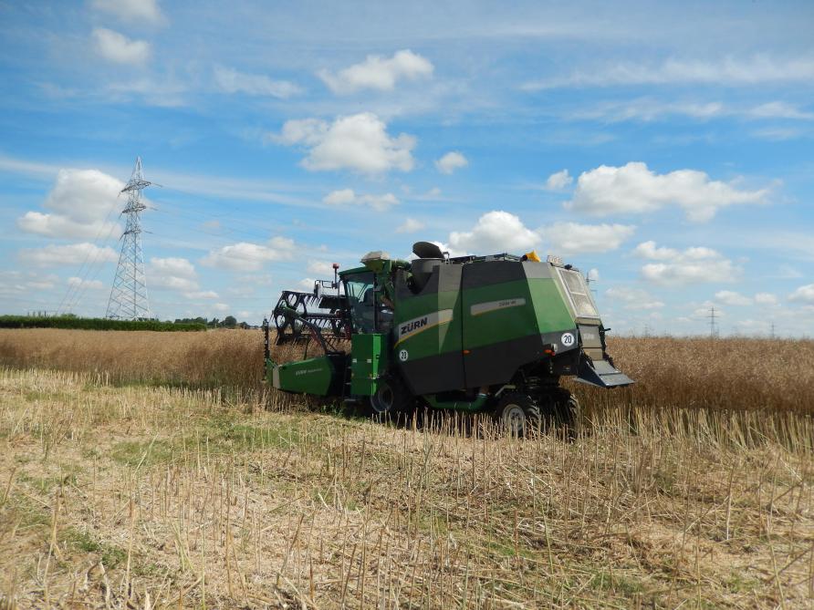 À la récolte, plusieurs débouchés se présentent à l’agriculteur. Celui-ci a la possibilité de valoriser ses graines, aussi bien en alimentation humaine (huile) qu’en alimentation animale (tourteau), mais aussi en biocarburant (biodiesel).
