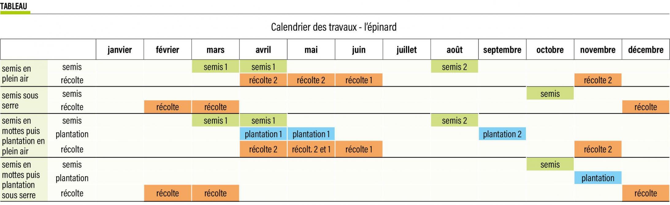 34-epinards calendrier