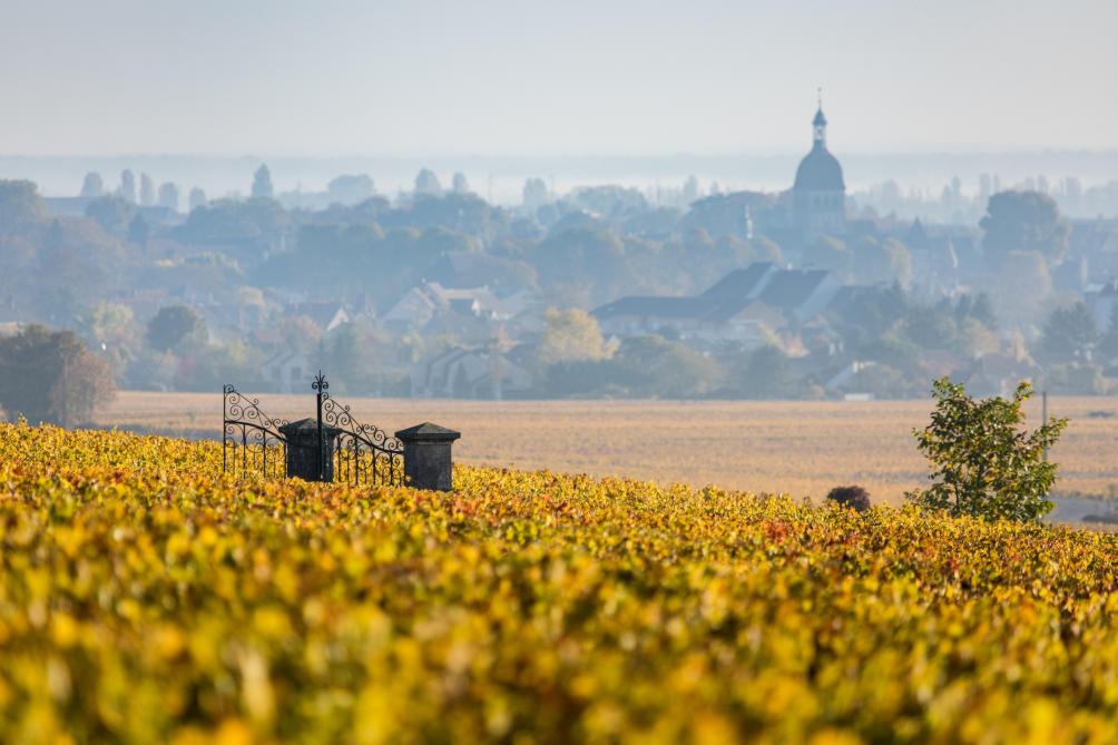 La Belgique demeure un acteur clef du marché du vin français, en se classant  au quatrième rang des importateurs, aussi bien en volume qu’en valeur.