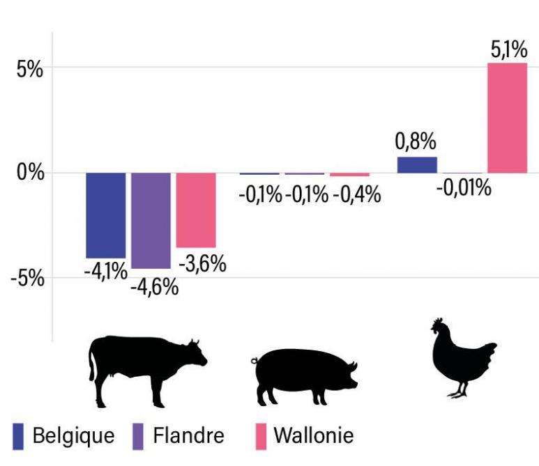 Figure 1: évolution des cheptels en Belgique, Flandre et Wallonie en 2024 par rapport à 2023 (source: Statbel).
