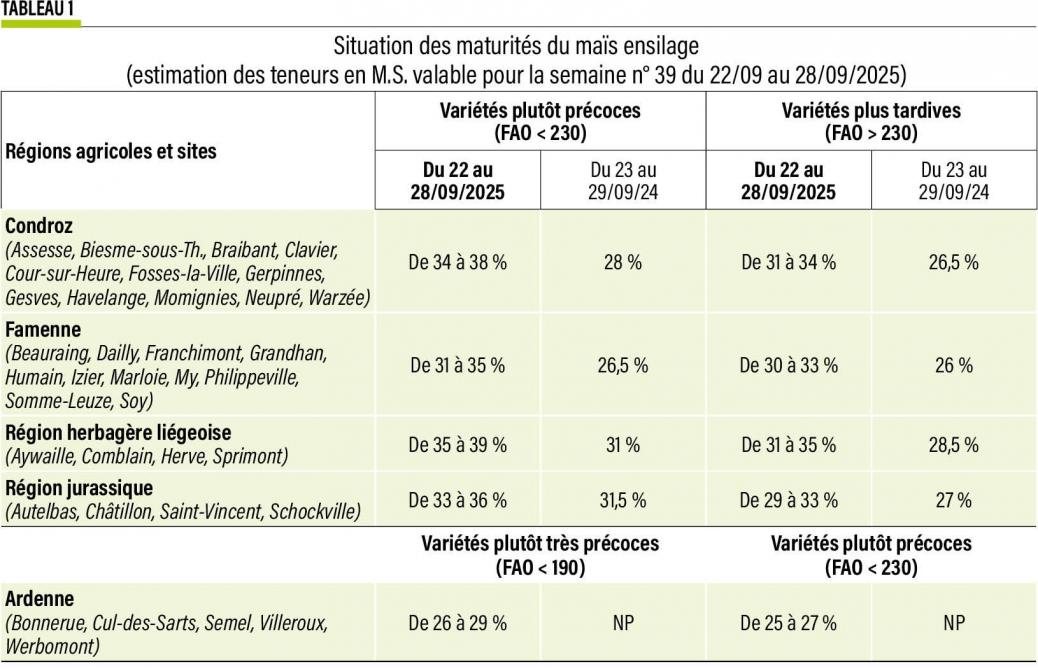 39-Tab-maïs-01 (2)