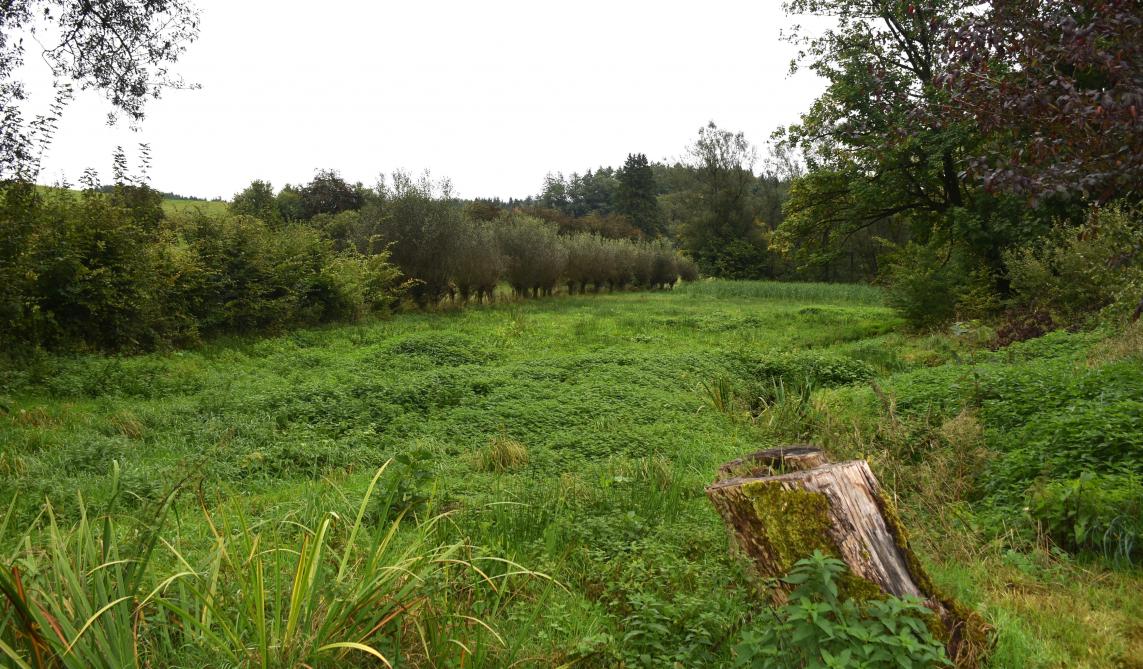 Michamps, au coeur d’un territoire en « zone froide » représentant plus du quart de la SAU wallonne,  marqué par des hivers rigoureux et des sols fragiles.