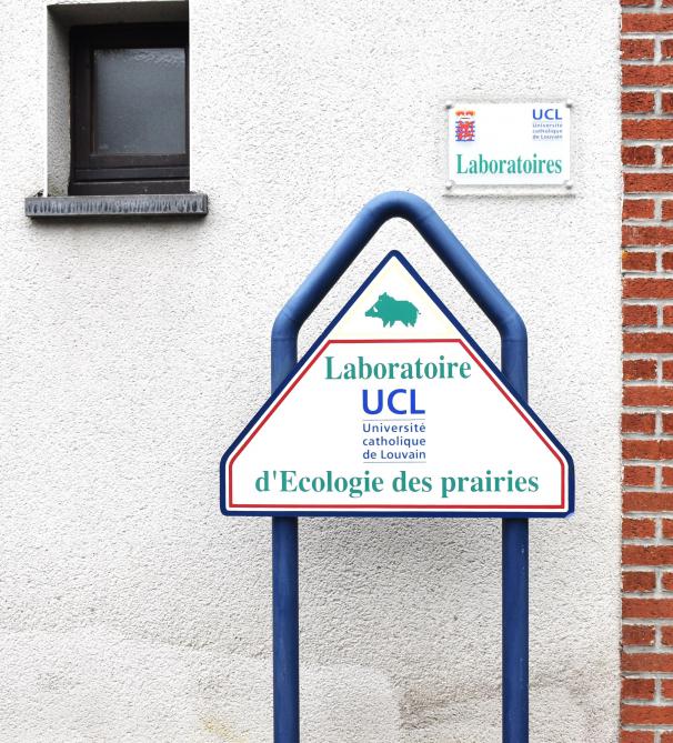 Le Centre continue à avoir une ardeur d’avance.