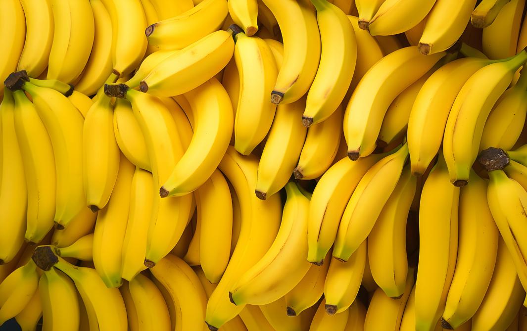 La banane antillaise continue de tracer la voie d’un modèle agricole responsable.