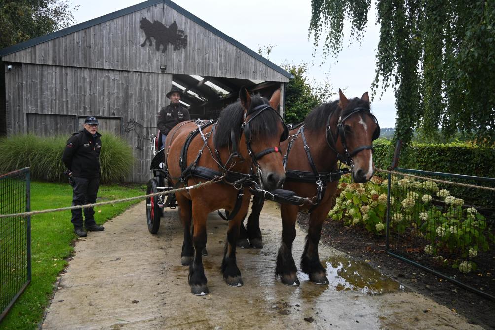 Le meneur et le groom ont chacun un rôle bien défini.