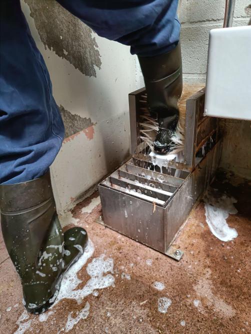 Les bottes doivent être nettoyées de préférence avec du savon, à l’aide d’une brosse, d’un lave-bottes ou d’un nettoyeur haute pression.