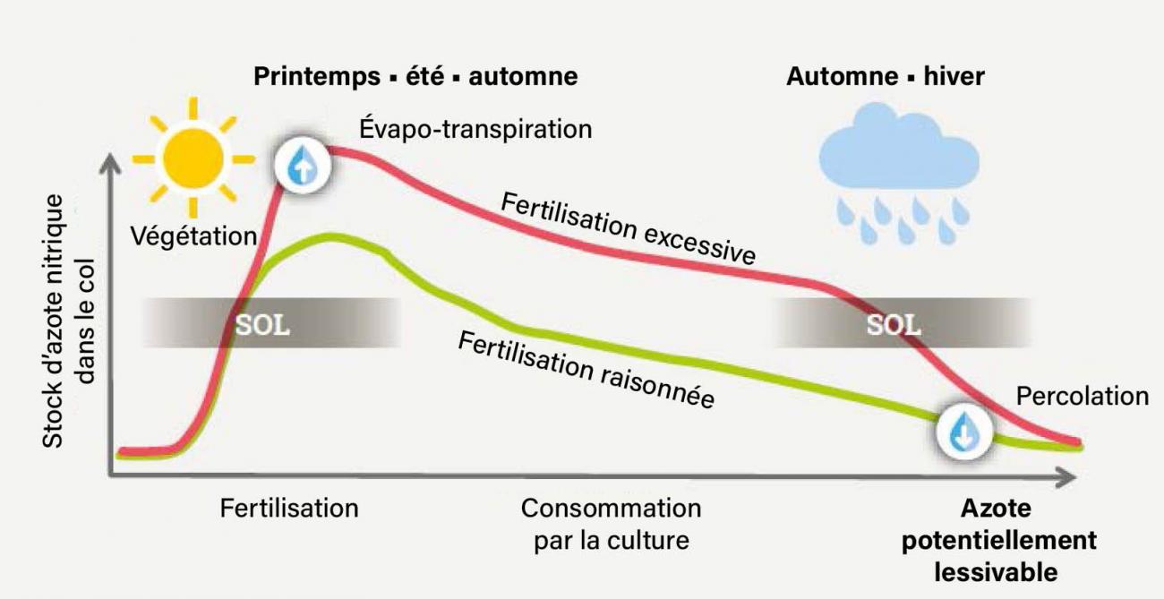 Figure 1: évolution du stock de nitrate présent dans le sol au cours de l’année.