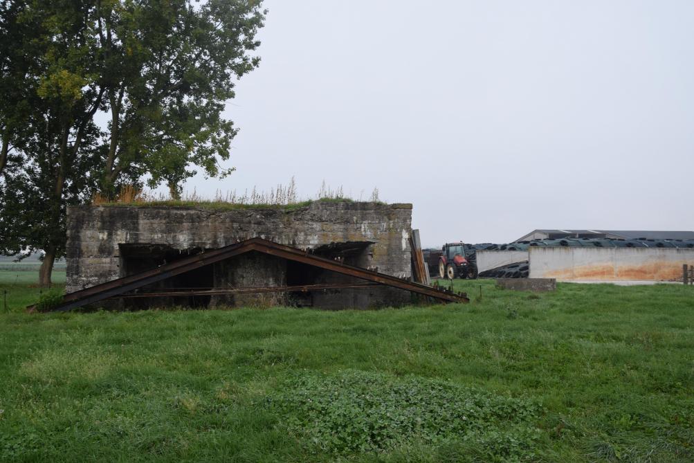 Les silos couloir de l’exploitation de Susan Mahieu et Joren Deblock débordent déjà. Le bunker gêne et empêche de simplement les prolonger.