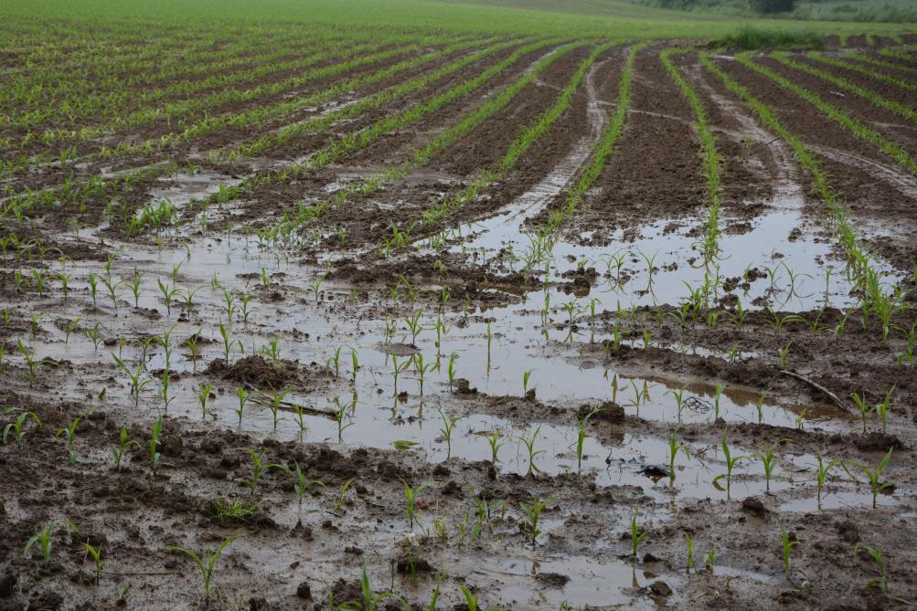 L’érosion déplace les particules de terre   au sein de la parcelle, mais aussi au-delà.  Avec les dégâts potentiels que l’on connaît.