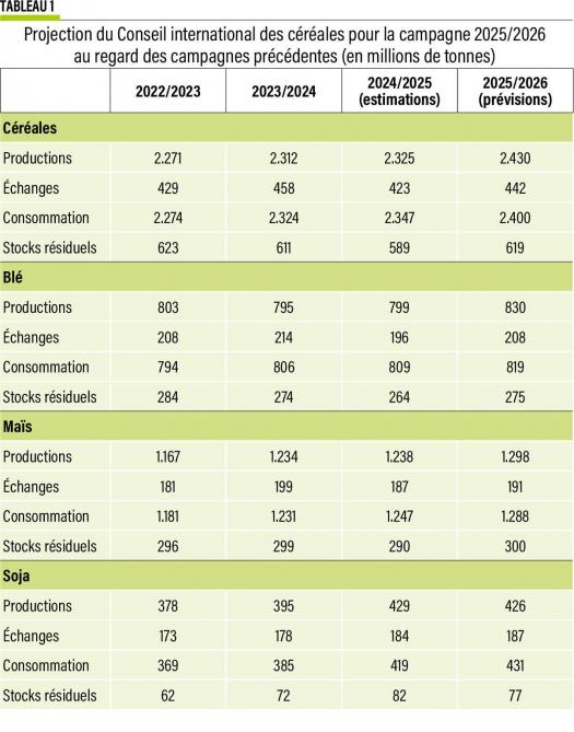48-projection conseil international