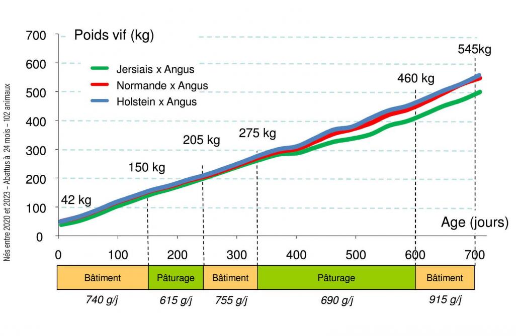 49-croissance de la naisssance à l'abattage(1)