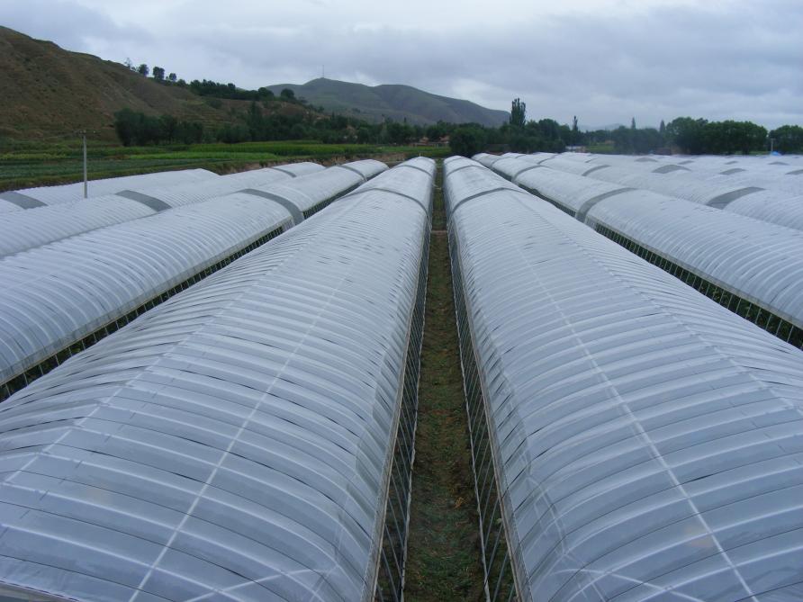 Les outils, les chaussures, les plantules, autant de vecteurs de transports de spores, de semences,  de contaminants potentiels d'une serre à l'autre.
