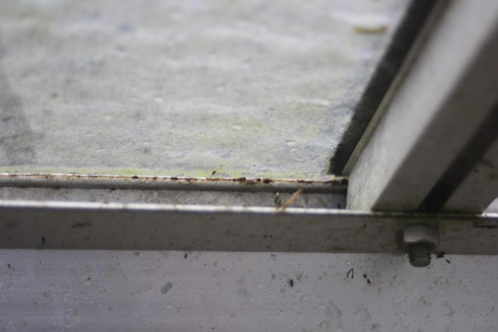 Le nettoyage des structures est bien plus aisé  en période de vide sanitaire de la serre.