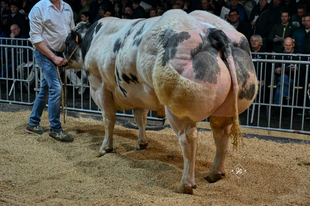 Lost Hof ter Zilverberg.