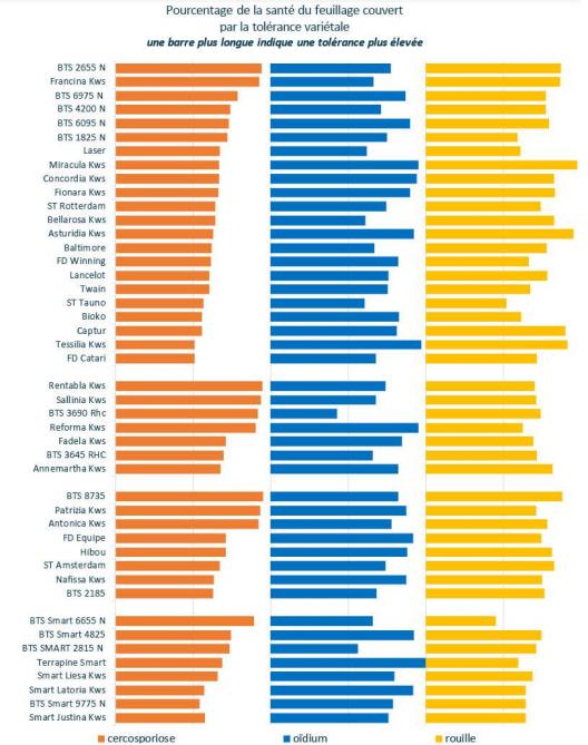 Figure 6: tolérance des variétés aux maladies foliaires cryptogamiques: plus la barre est longue, plus la variété est tolérante (classement par catégorie par sensibilité à la cercosporiose).