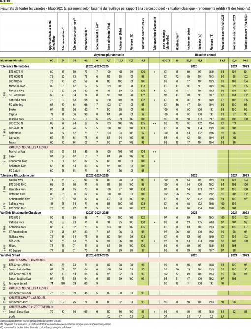 52-betteraves-01-web