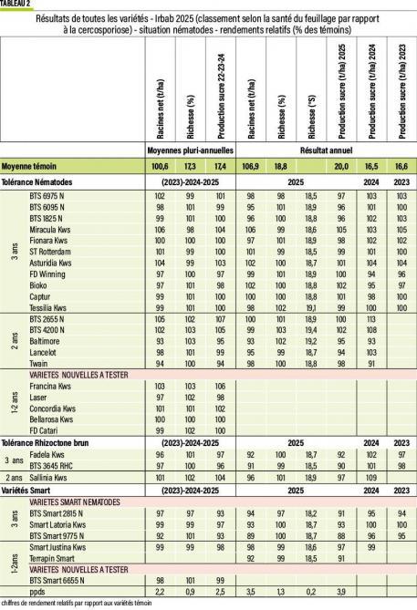 52-betteraves-02-web