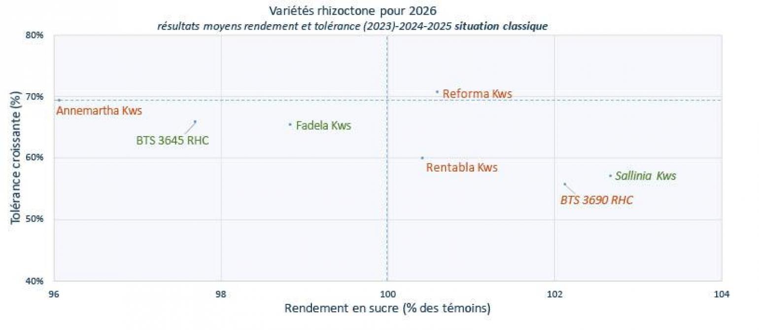 Figure 4: tolérance des variétés au rhizoctone brun. «Outre le rendement, le choix doit se porter sur la tolérance à la pourriture en fonction de la parcelle», recommande l’Irbab. Les nouvelles variétés sur 2 ans sont renseignées en italique.