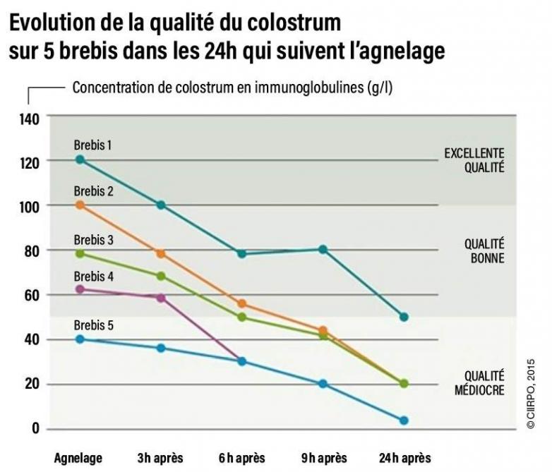 Figure 2: évolution des qualités intrinsèques du colostrum dans les heures suivant l’agnelage.