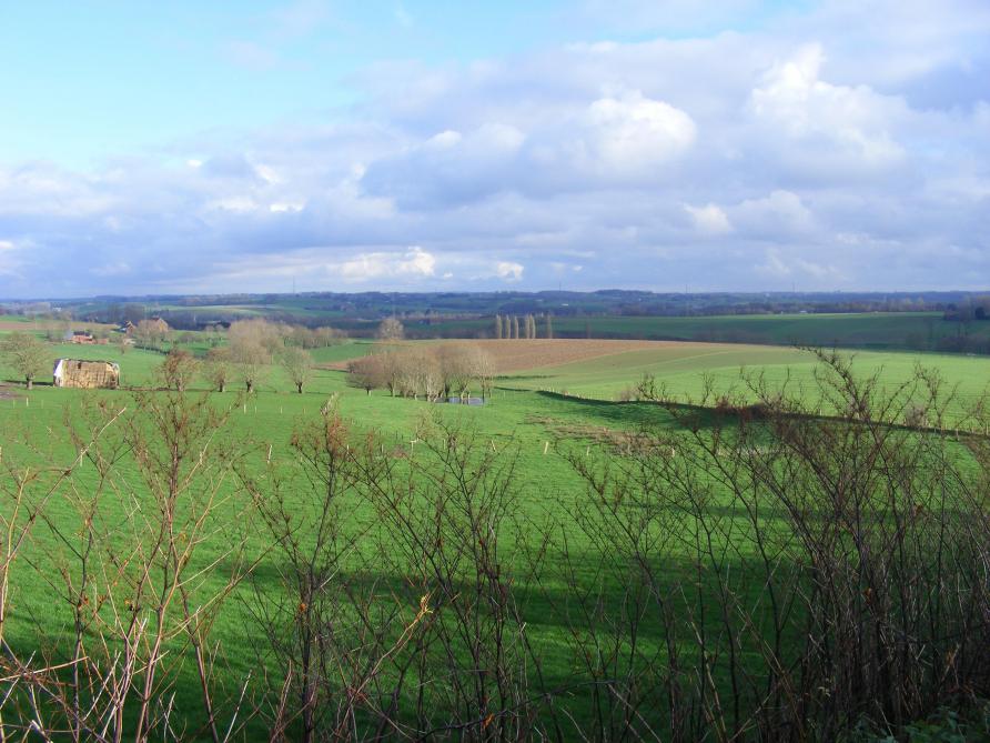 Les cultures maraîchères sont très sensibles aux effets du vent. Une plaine très dégagée constitue  un espace de risque important de réduction de la croissance.