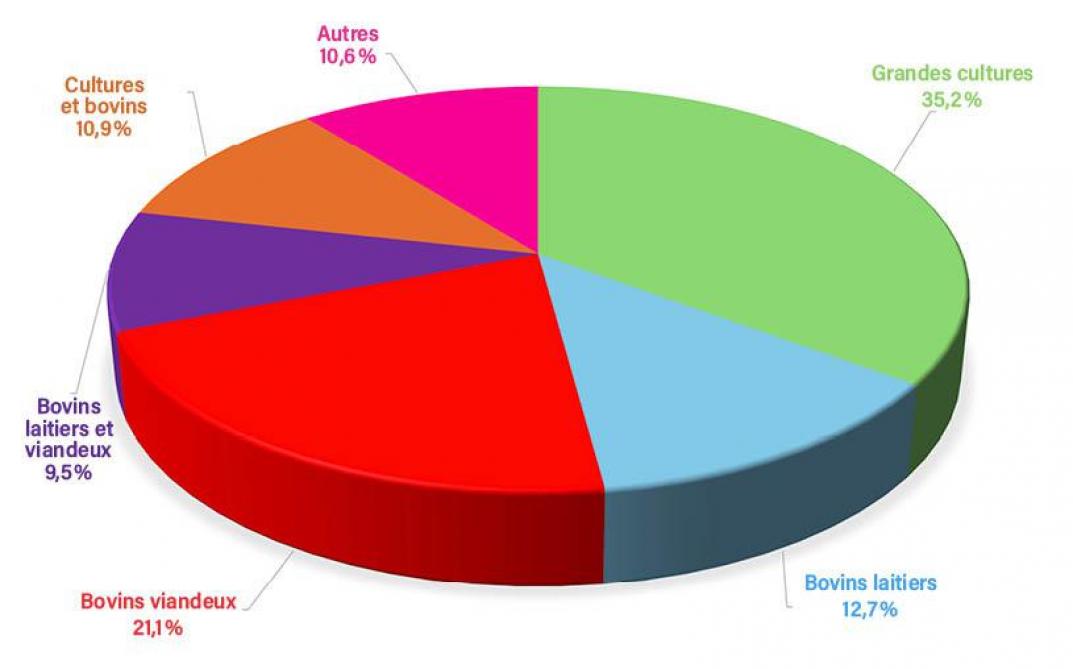 Figure 1: répartition des exploitations professionnelles selon leur orientation technico-économique en 2024 (source: Spf Économie, DG Statistique (Statbel)).
