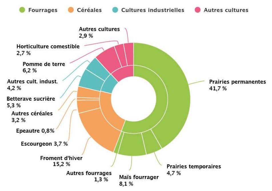 Figure 2: répartition de la superficie agricole utilisée selon les productions végétales en 2024 (source: Spf Économie, DG Statistique (Statbel)).