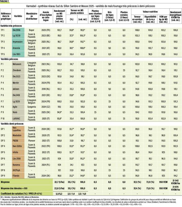 04-mais-tab-02-web (2)