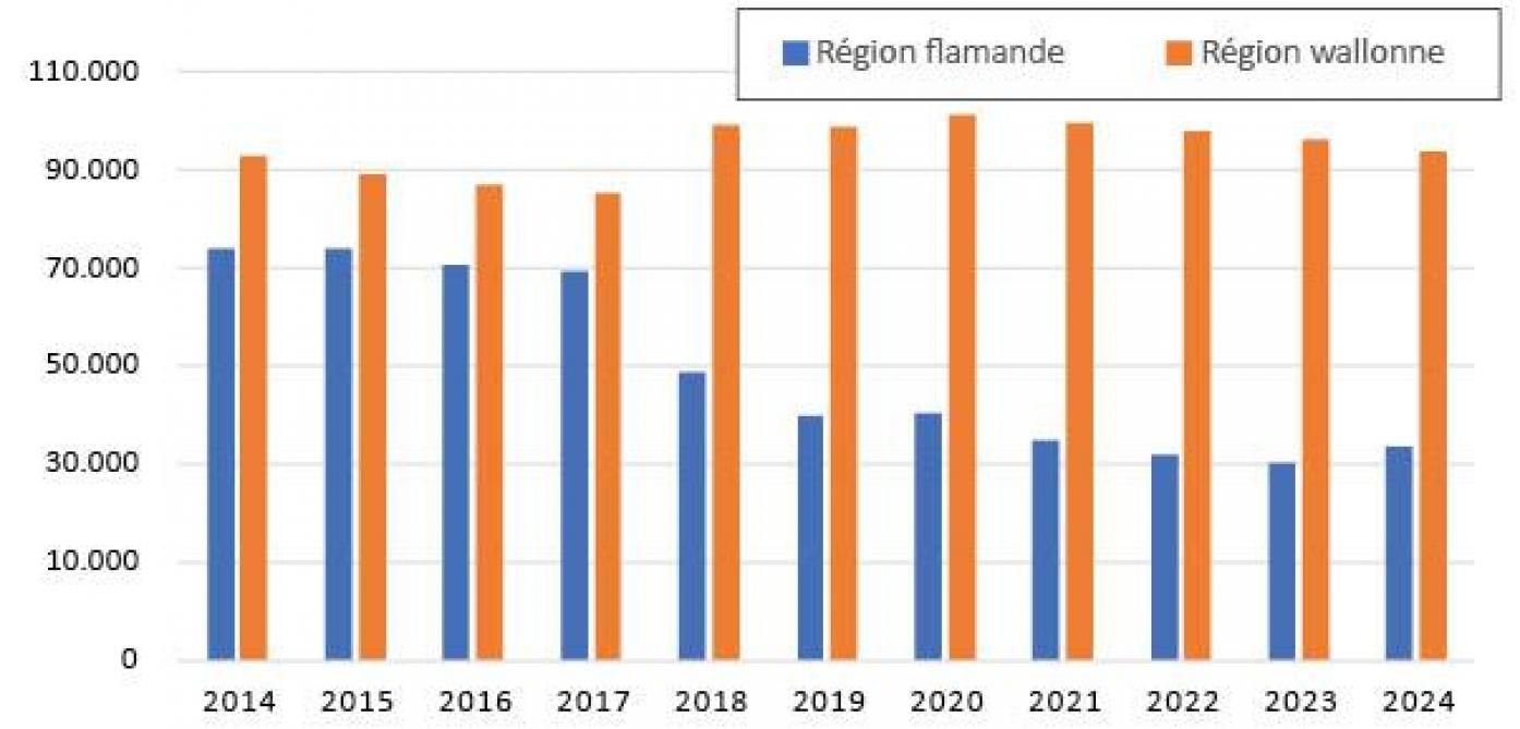 Figure 6: nombre d’abattages de taureaux par an en Région wallonneet en Région flamande, pour la période 2015-2024 (source: Statbel).