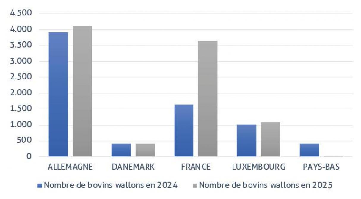 Figure 3 : comparaison du nombre d'importations de bovins (hors veaux engraissement) dans nos troupeaux wallons en 2024 et 2025, depuis les pays exportateurs les plus importants source : Arsia).