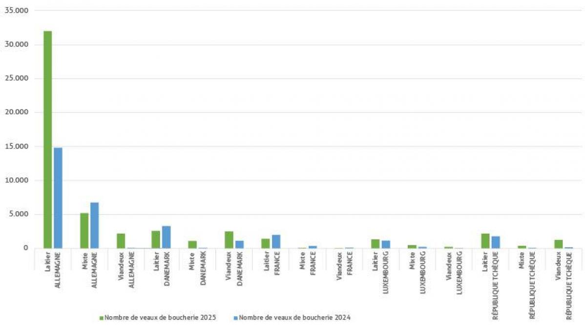 Figure 2 : principales importations de veaux en Belgique en 2024 et 2025 (source : Arsia).