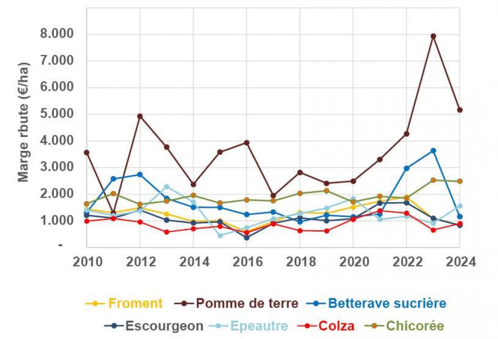 Figure 1: marge brute des principales grandes cultures wallonnes (source: Daea, Spw).